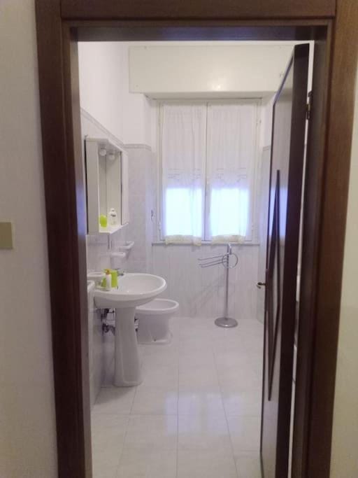 Shower, Toilet, Bathroom, bidet