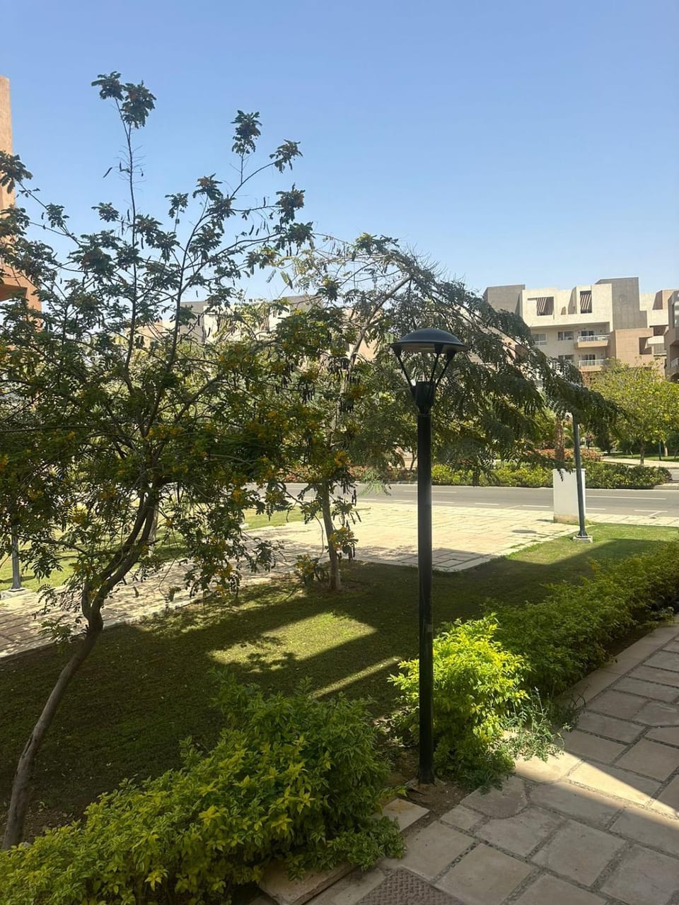 Spring, Day, Natural landscape, Garden, Garden view