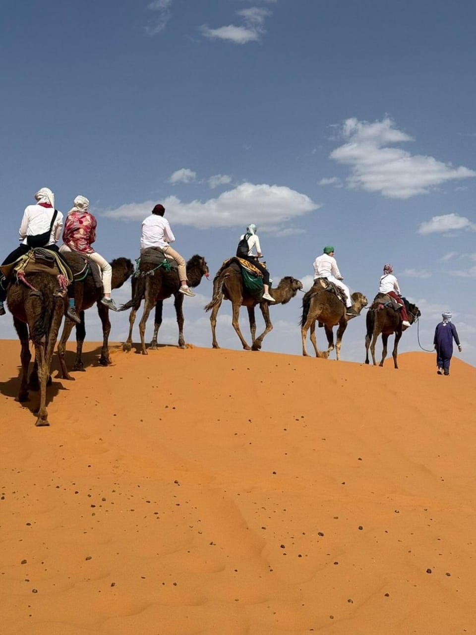 Natural landscape, group of guests
