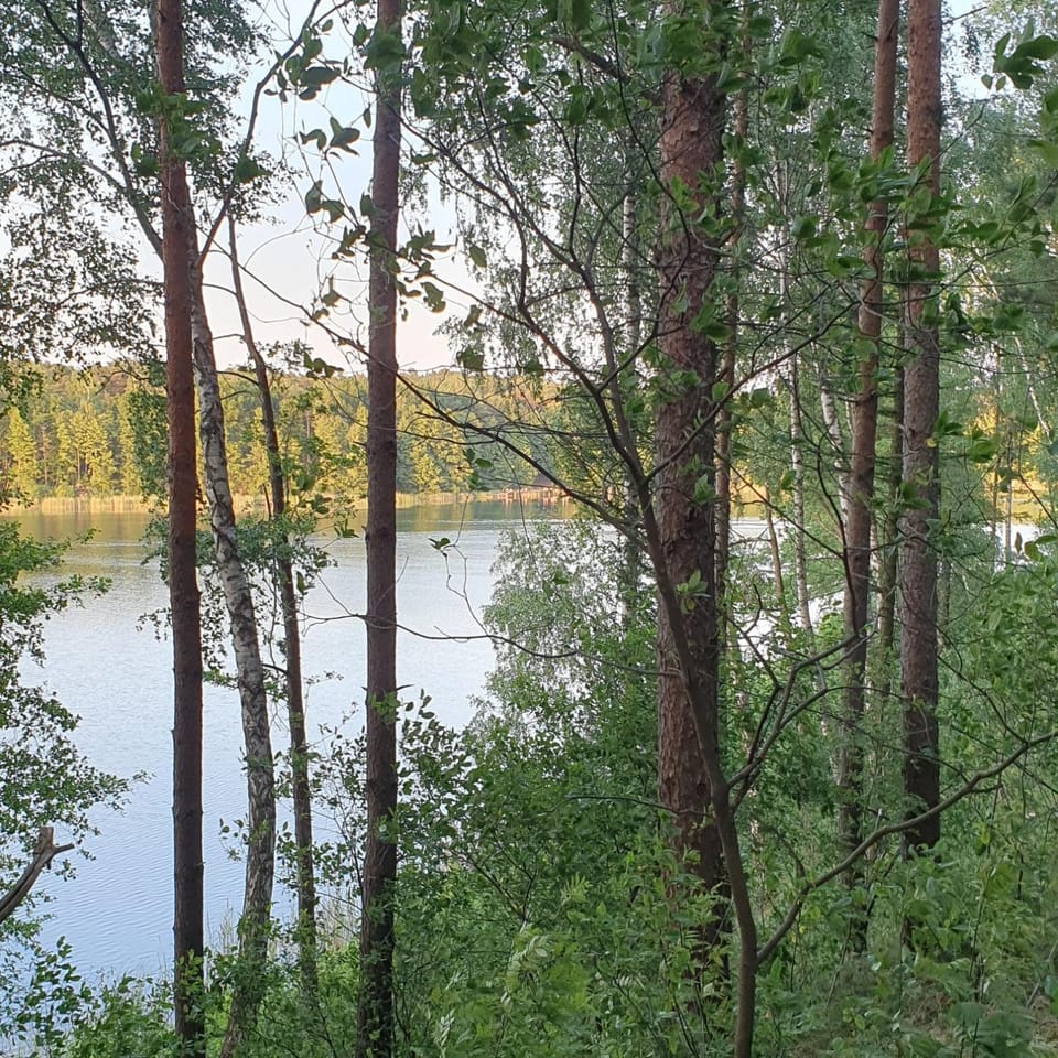 Lake view