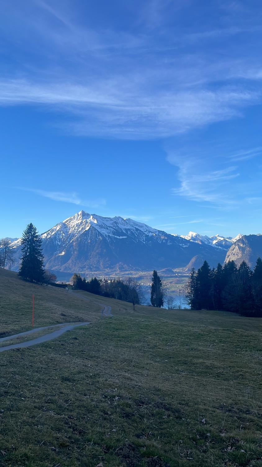 Seeblick Vacation rental in Canton of Bern (Region)