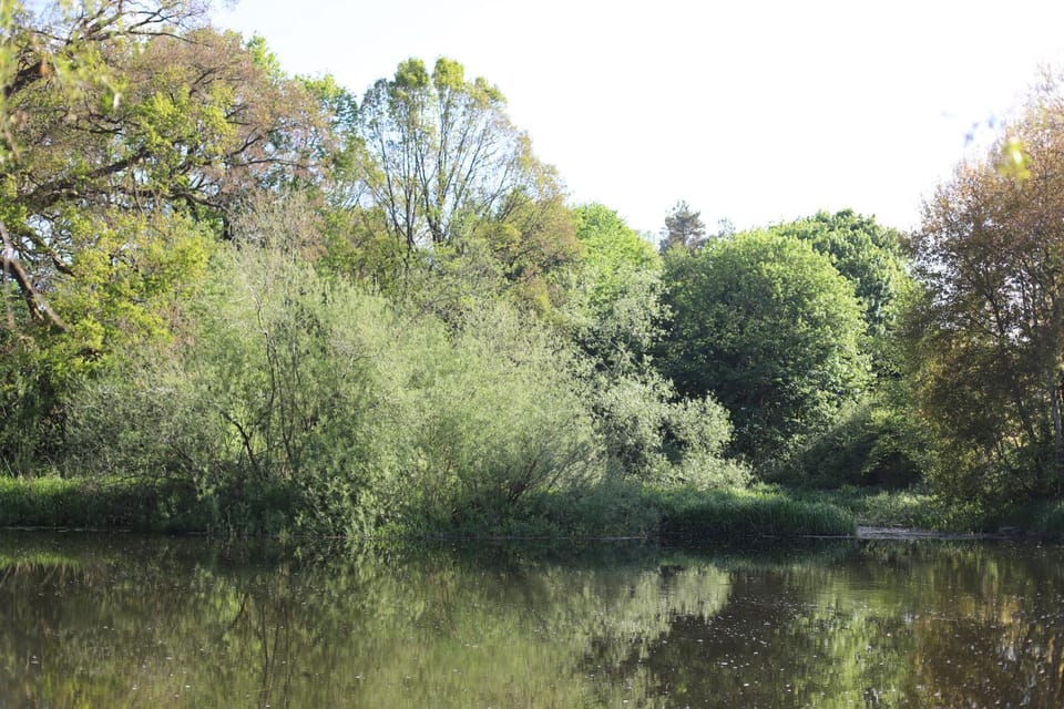 Natural landscape