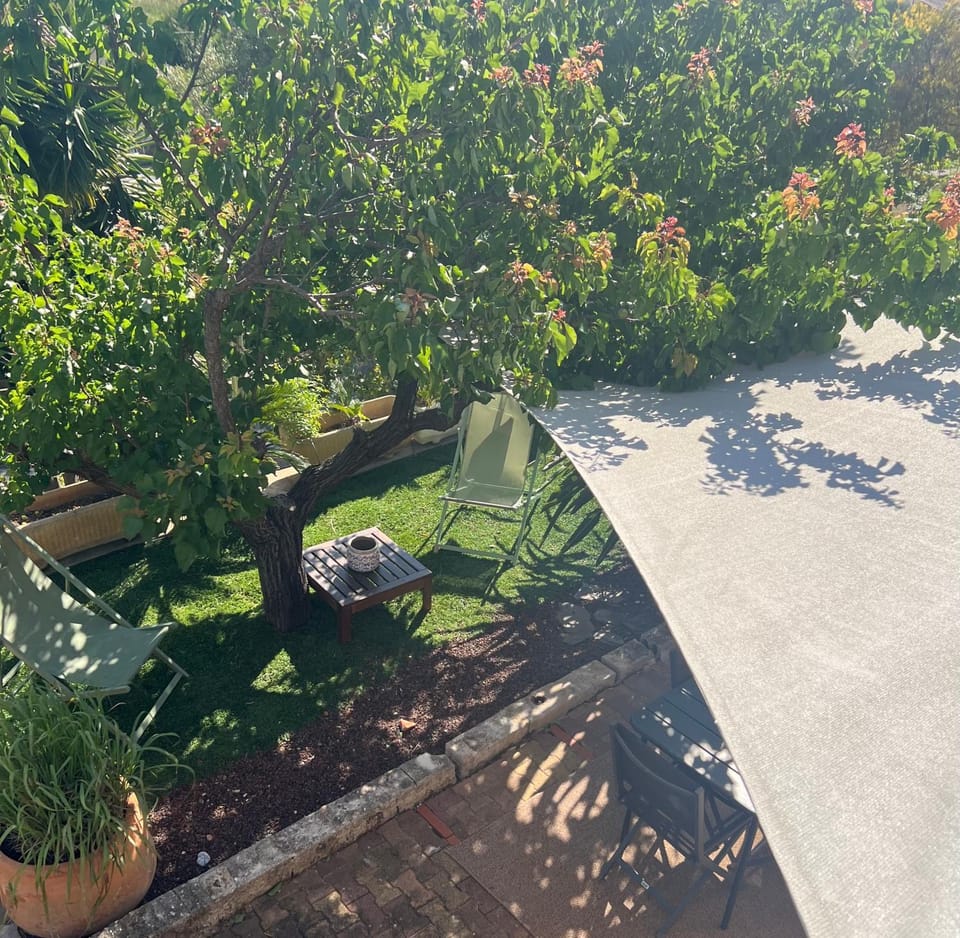 Garden view