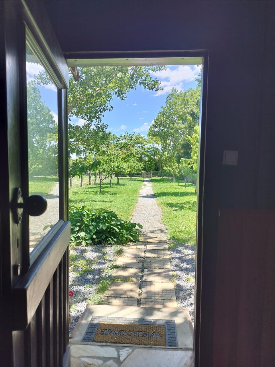 View (from property/room)