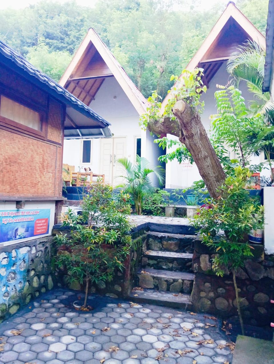 Putri Nyale Bungalows & Rooms Vacation rental in Pujut