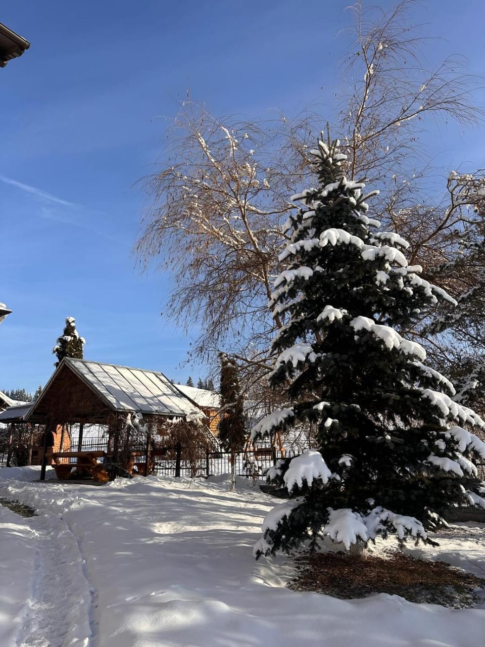 Winter