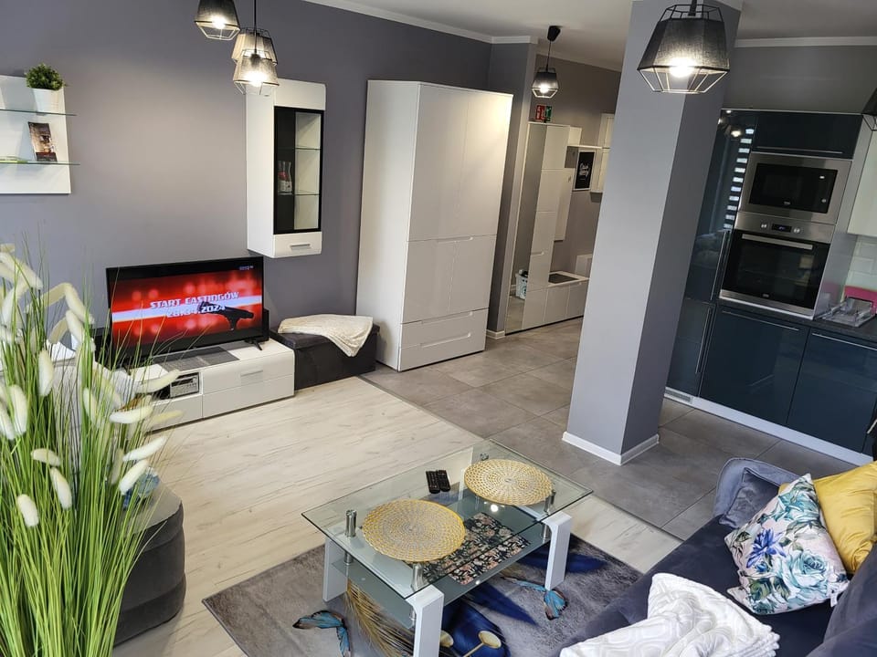 View (from property/room), Other, Photo of the whole room, furniture, internet, pet friendly