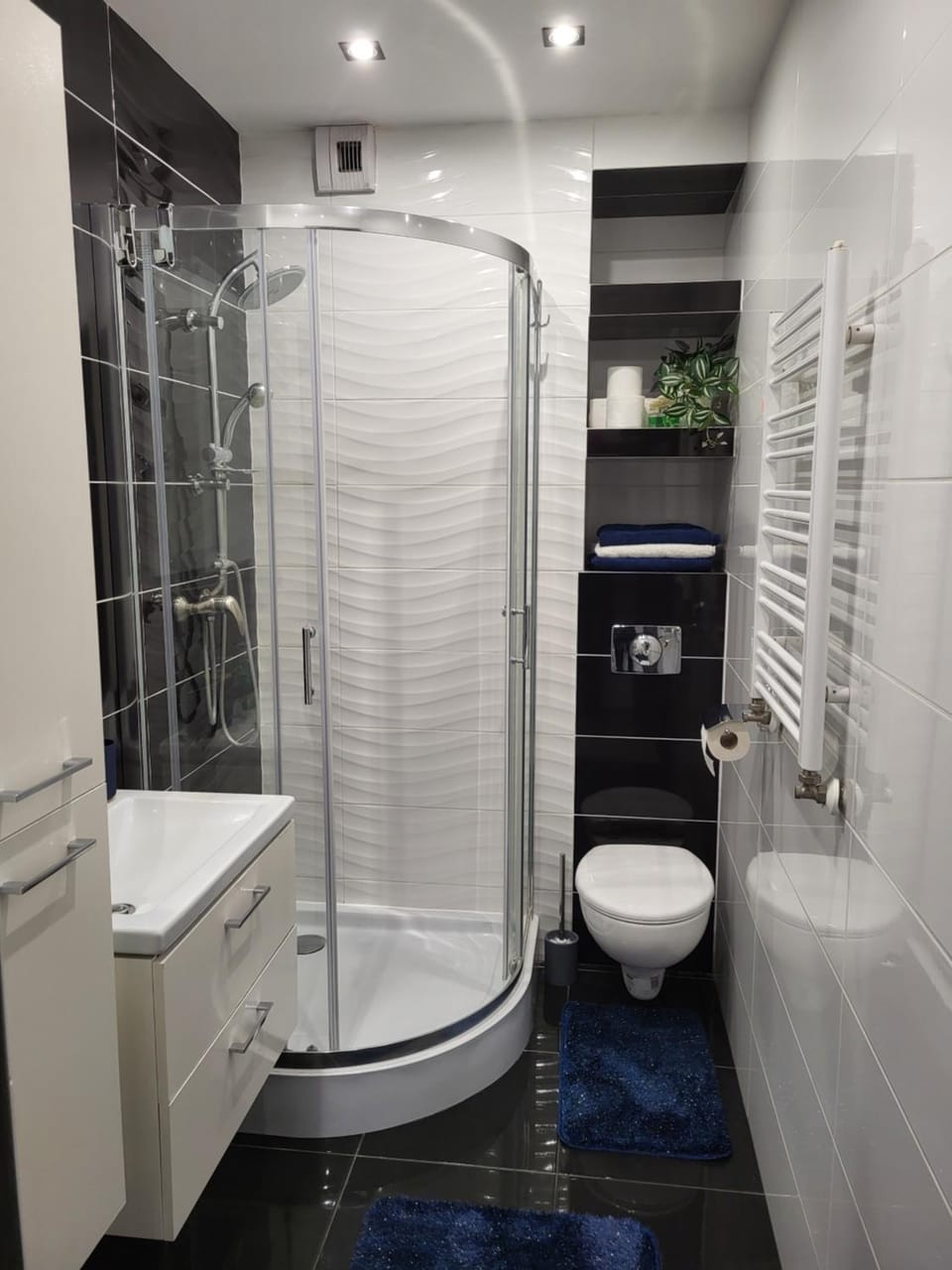 Shower, Toilet, Bathroom, towels