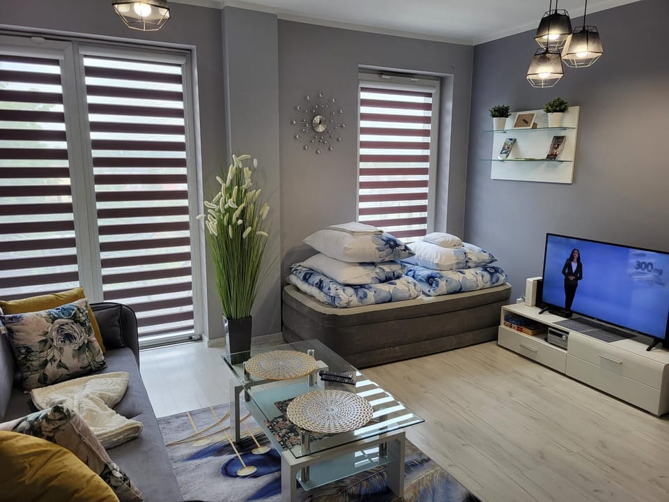 TV and multimedia, Living room, Dining area, Bedroom, internet