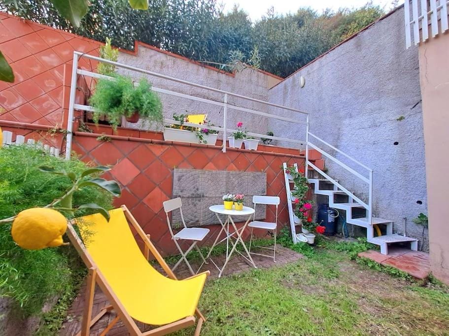 Patio, Garden, Garden view, sunbed