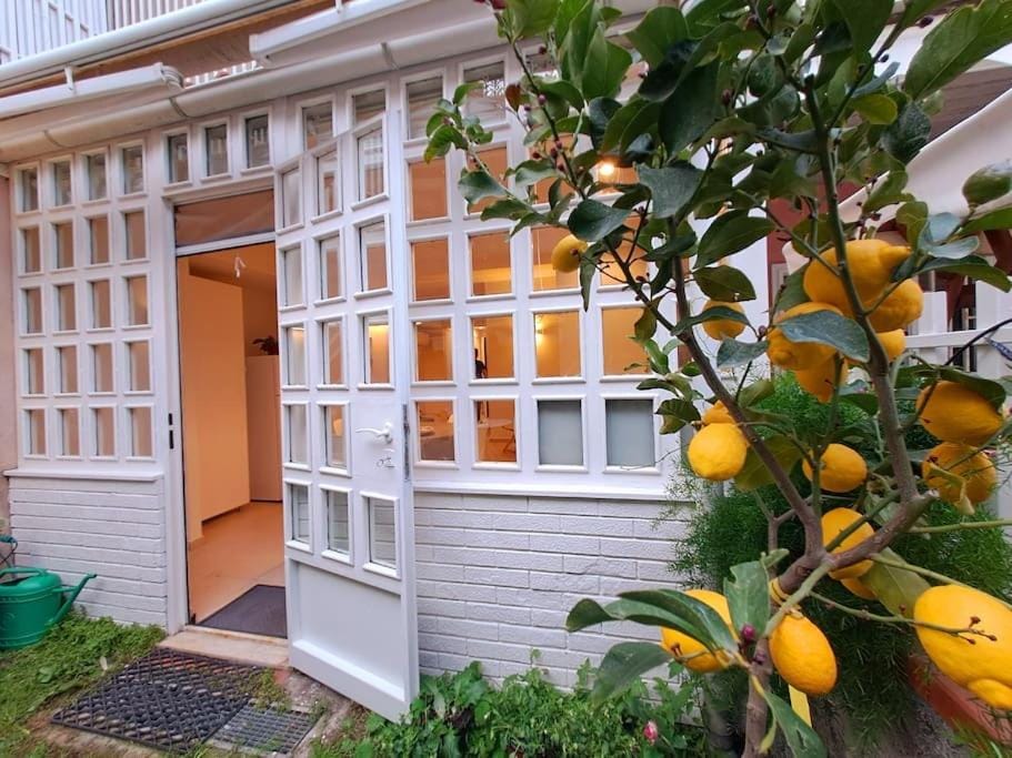 Garden, Garden view