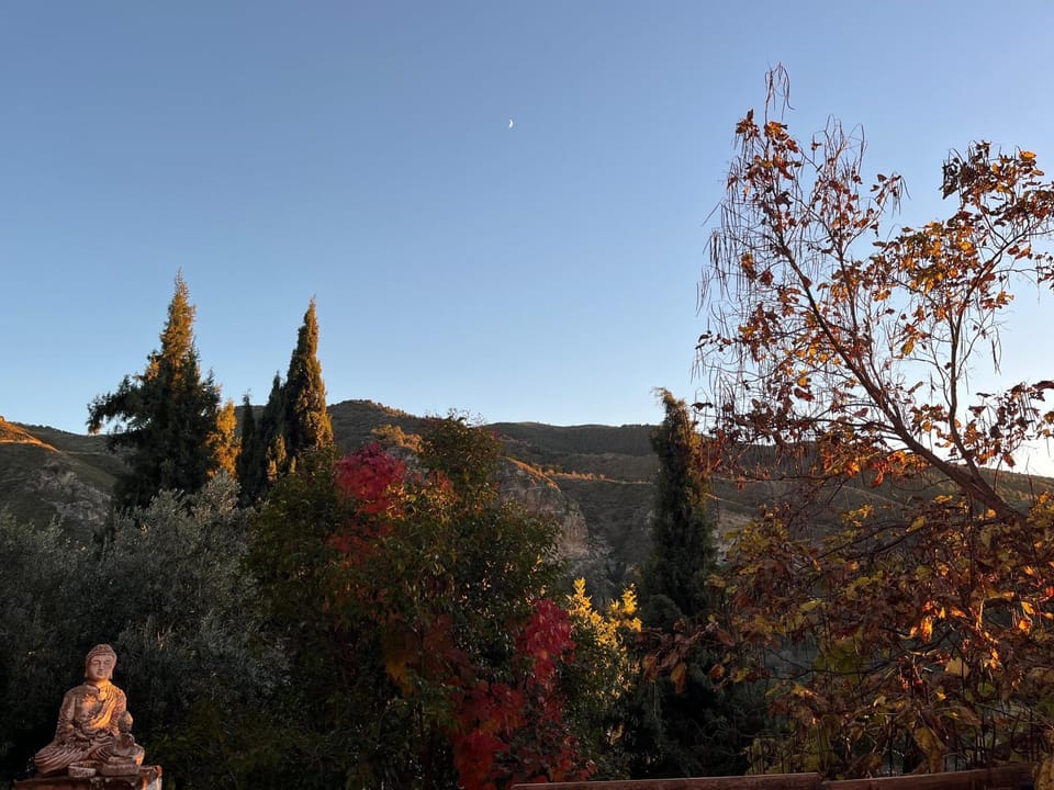 Balcony/Terrace, Autumn, Mountain view