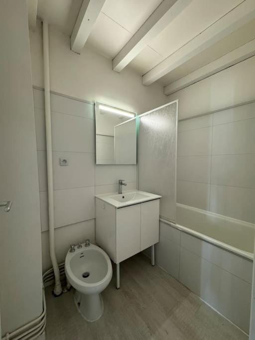 Joli T3 duplex Compans Cafarelli Apartment in Toulouse