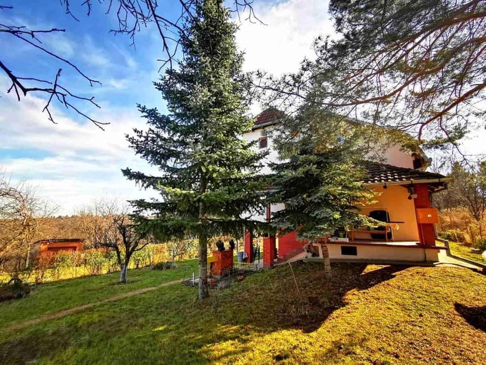 Vila Gorocvet Villa in Novi Sad