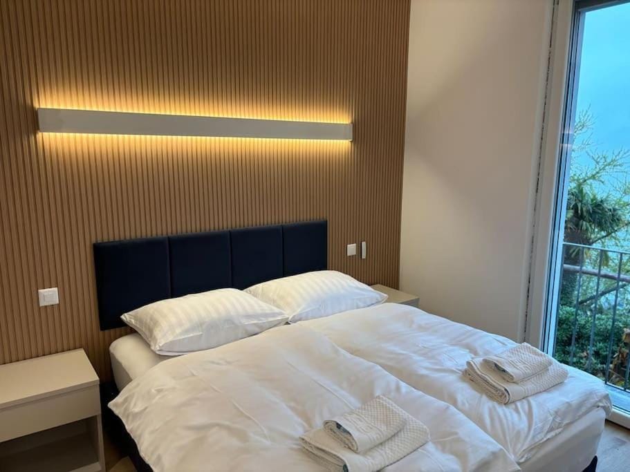 Lake Dream Apartment in Canton of Ticino