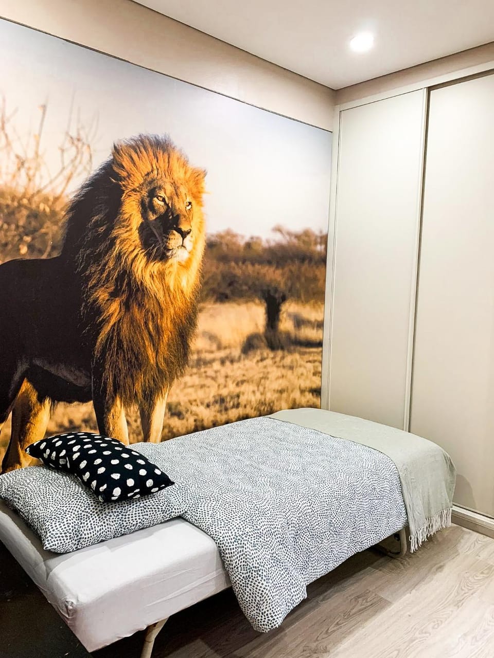 Bed, Bedroom, furniture, storage, wardrobe