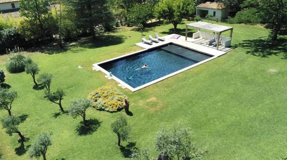 Spring, Garden, Garden view, Pool view, Swimming pool, sunbed