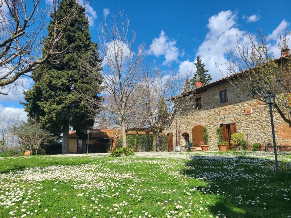 Property building, Garden, View (from property/room), Garden view