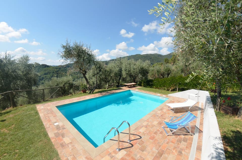 Garden, Swimming pool, Swimming pool