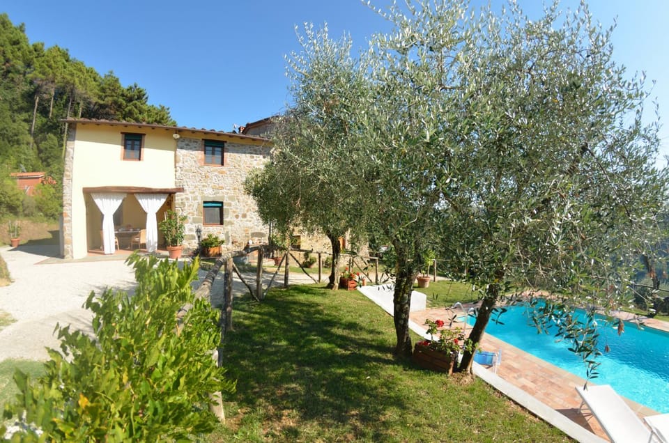 Garden, Swimming pool
