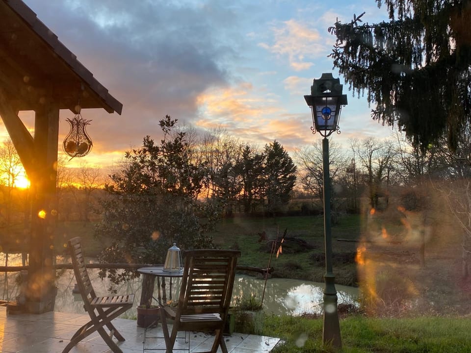 Natural landscape, Garden, Garden view, Lake view, Sunrise, Sunset