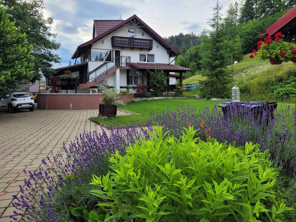 Vila Flory Voronet Villa in Romania