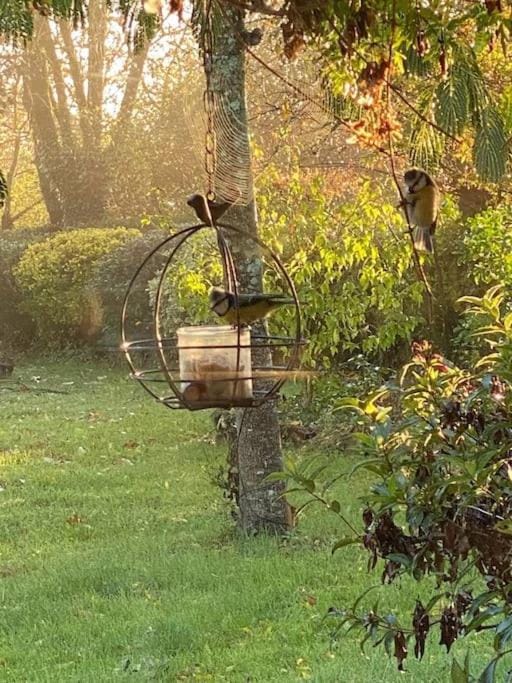 Logement atypique et charmant dans les marais, studio espace ouvert Apartment in Pays de la Loire