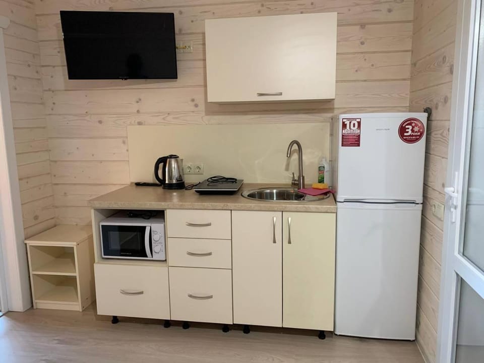 Kitchen or kitchenette, minibar, stove