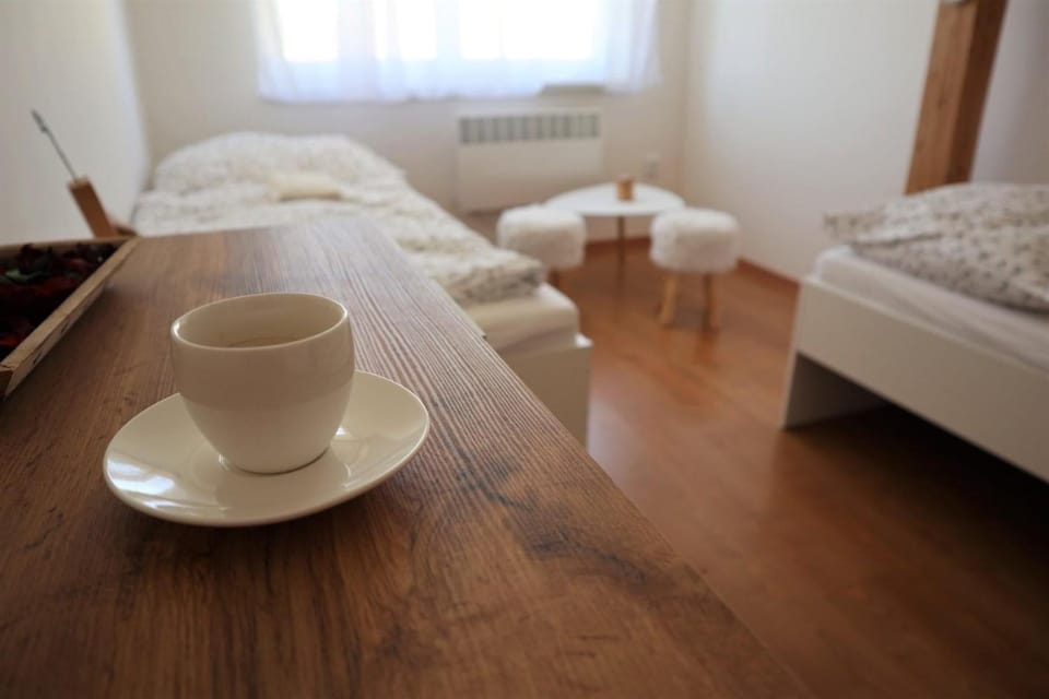 Nad Sklepy Apartment in South Moravian Region
