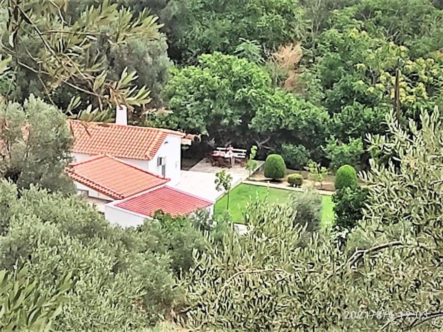 Garden Ηouse 3 House in İzmir Province
