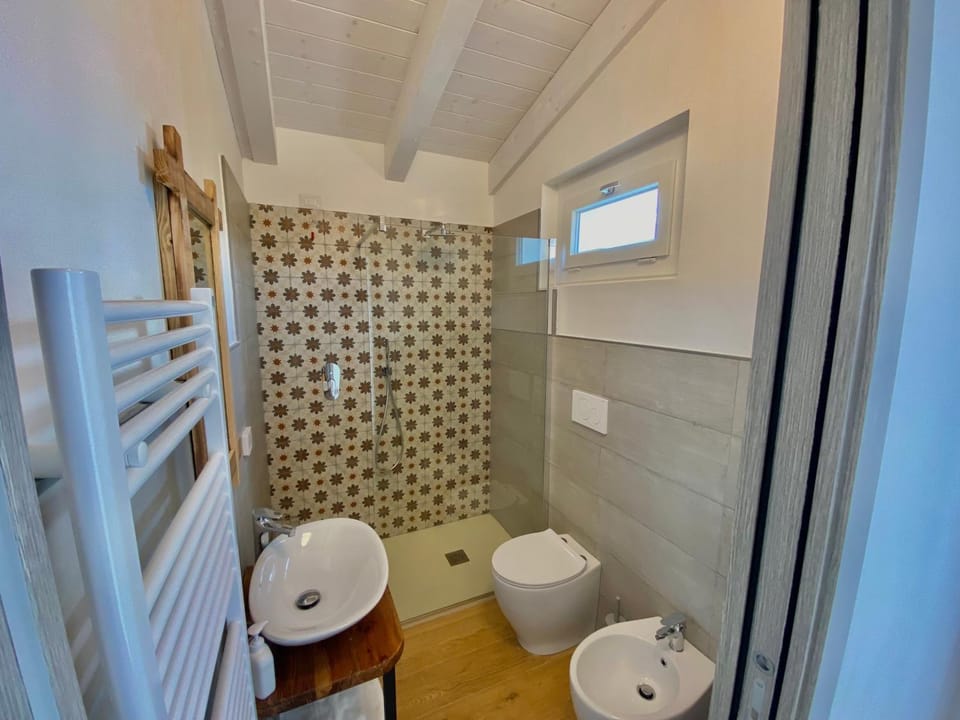 Shower, Toilet, Bathroom, bidet