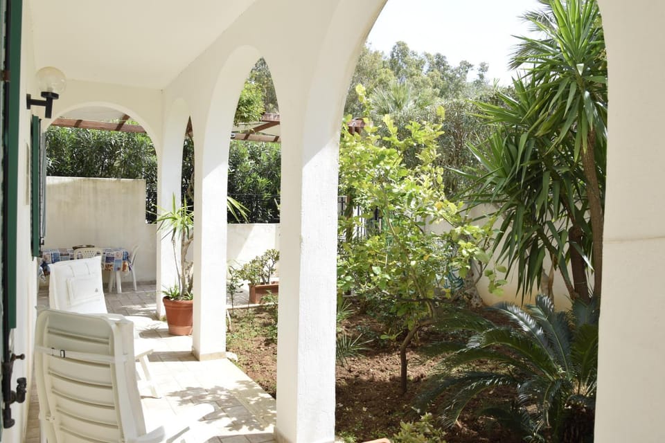 Patio, Garden, Garden view