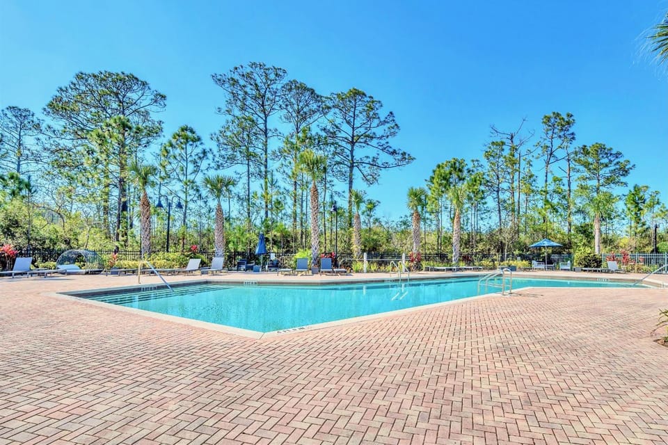 Pool view, Swimming pool, sunbed