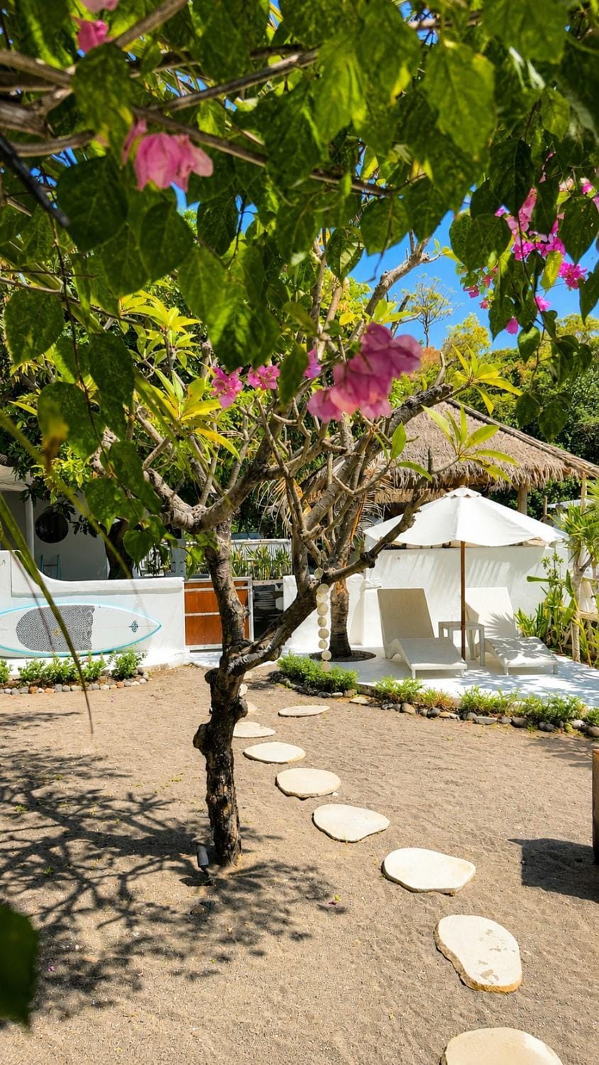 Garden, Garden view, sunbed