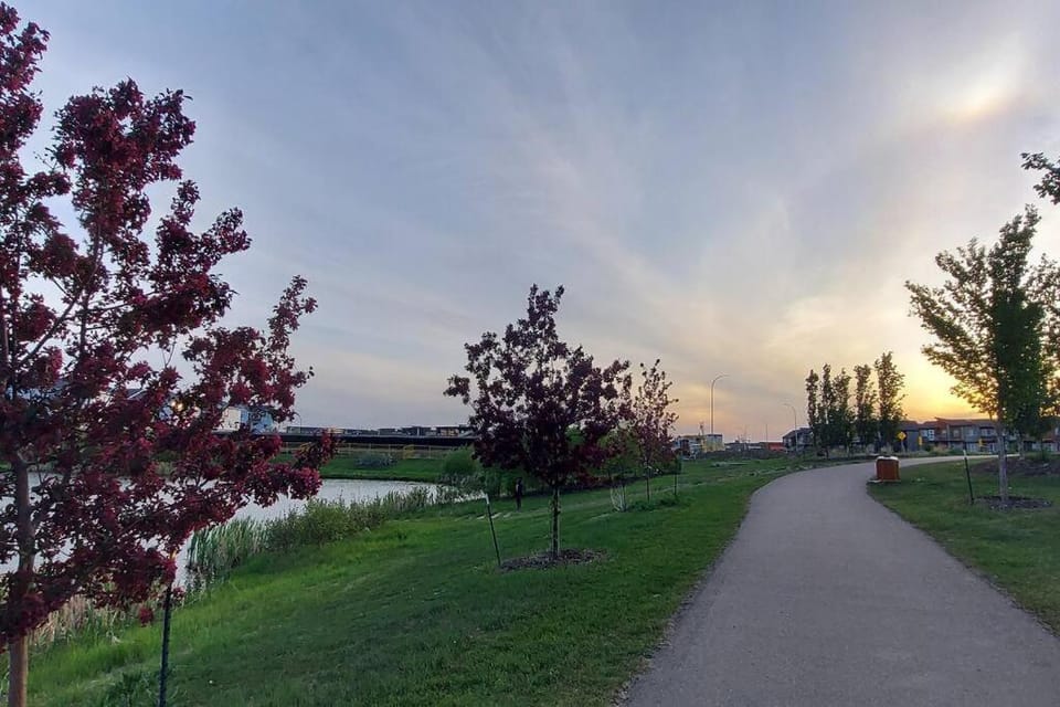 Day, Natural landscape, Sunset