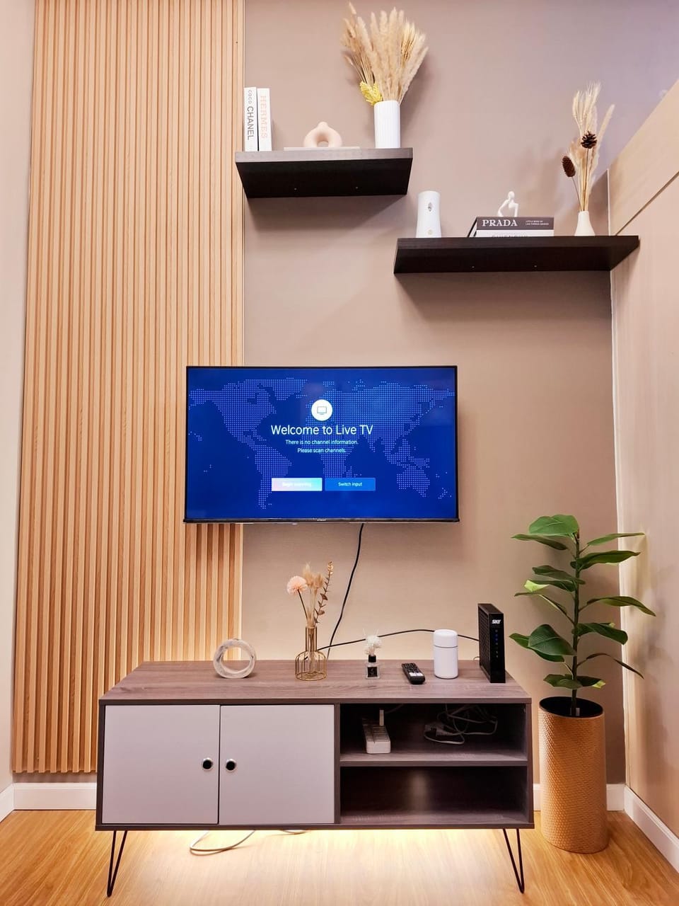 TV and multimedia
