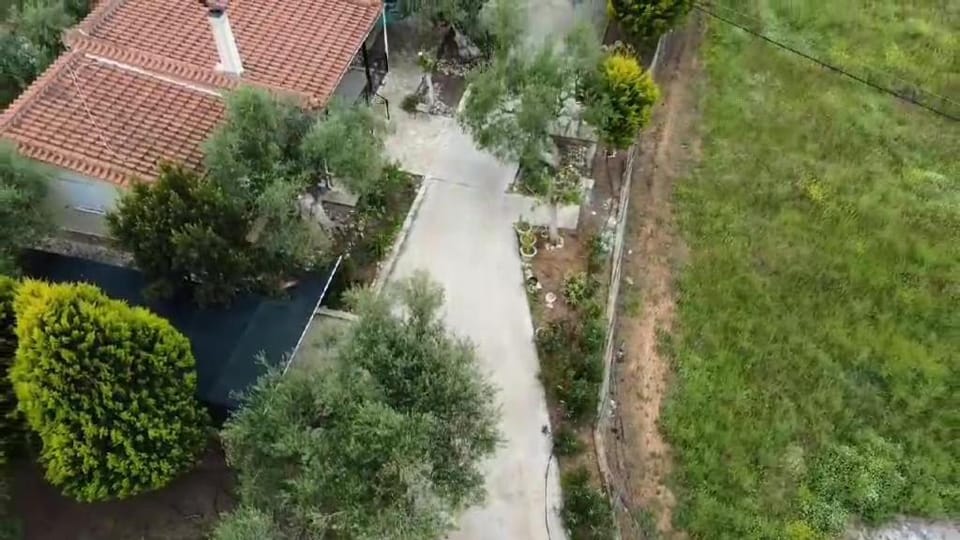 Bird's eye view, Garden, Garden view