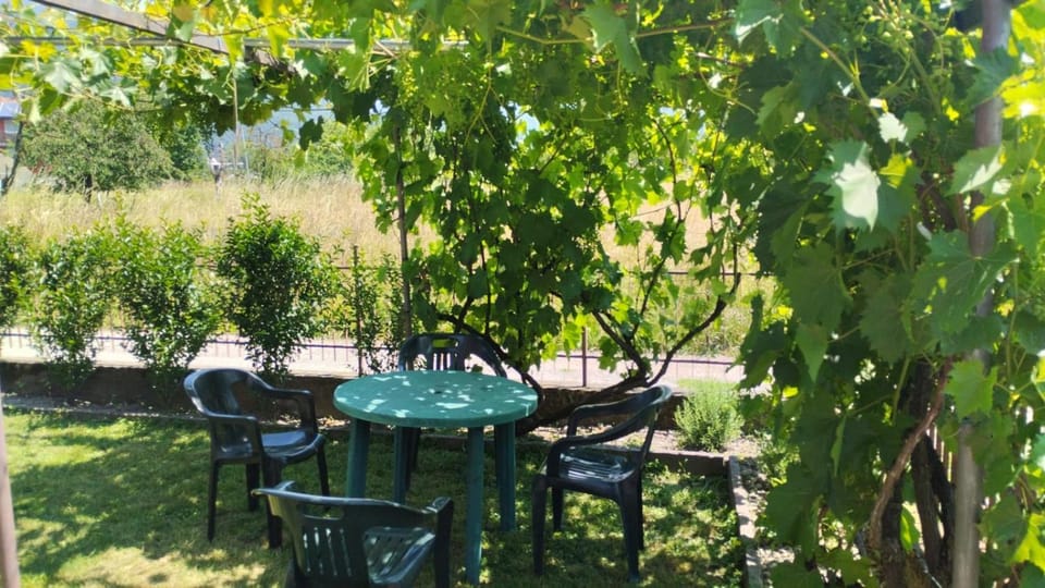 Nonna Evy Apartment in Trentino-South Tyrol