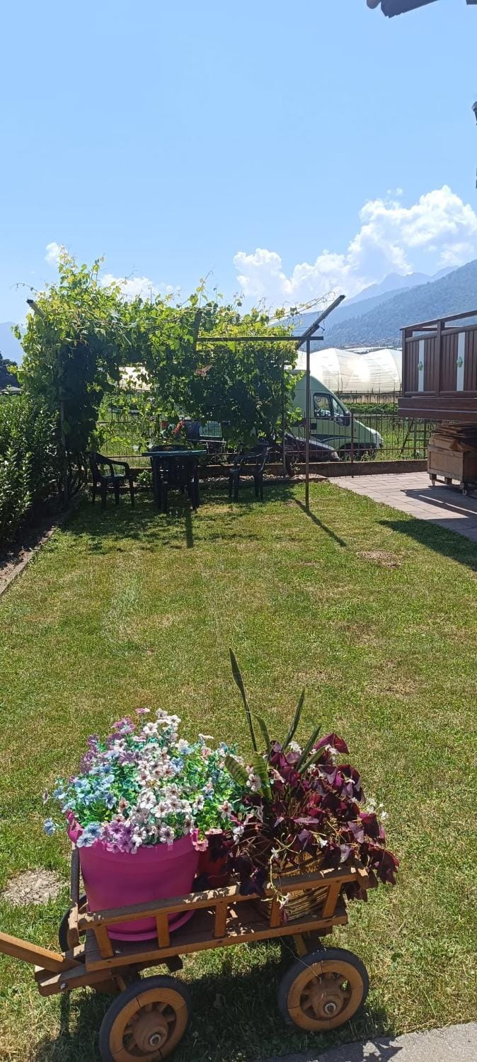 Garden view