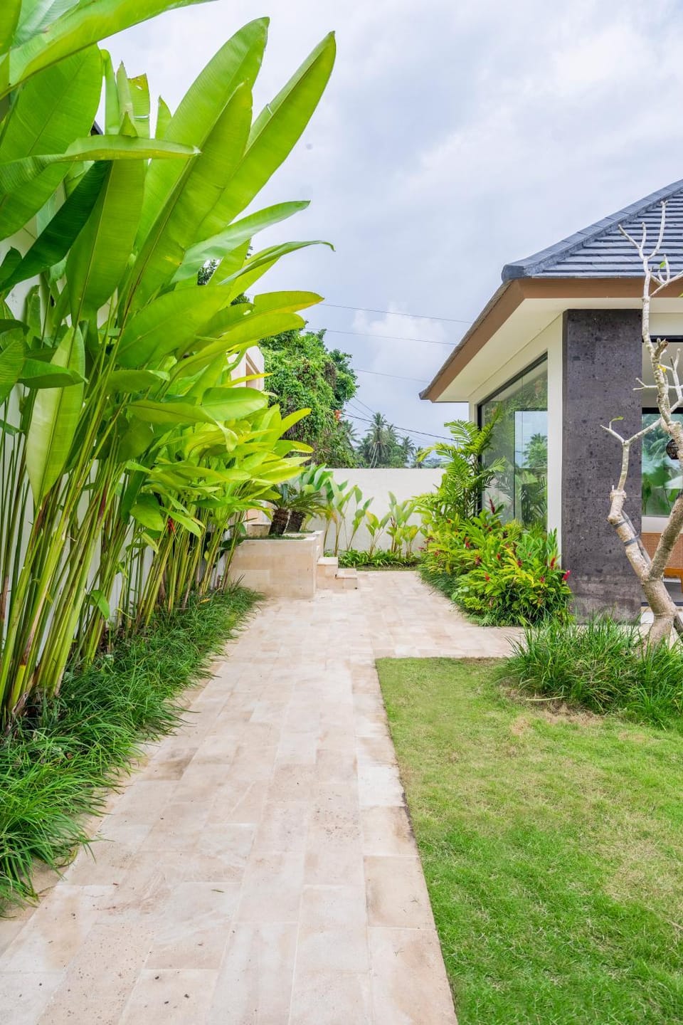 Garden view