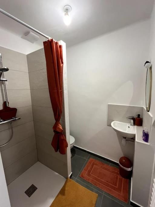 Maisonnette dans vieux village House in Occitanie