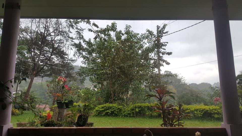 Garden, Garden view