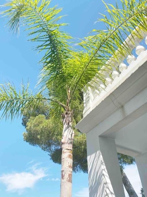 Villa Lion, gorgeous villa in Le Cannet overlooking Cannes Villa in Mougins