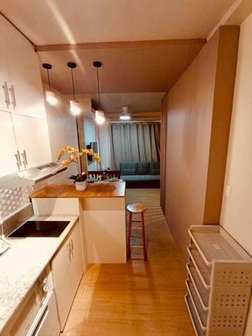 Kitchen or kitchenette, Photo of the whole room