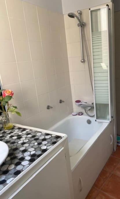 Luxurious appartement Montreuil Apartment in Paris