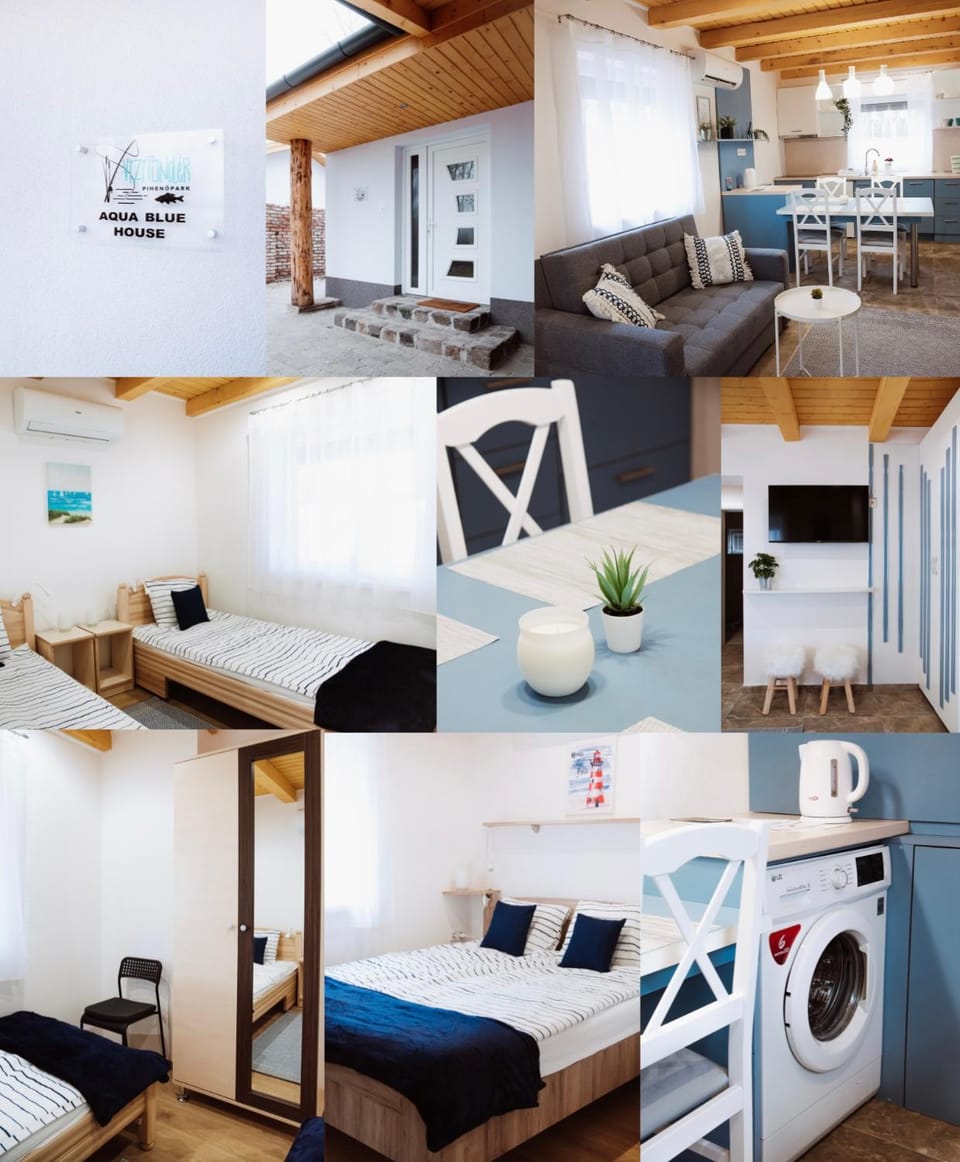 Bed, Kitchen or kitchenette, Living room, Photo of the whole room, Bedroom, minibar, pet friendly