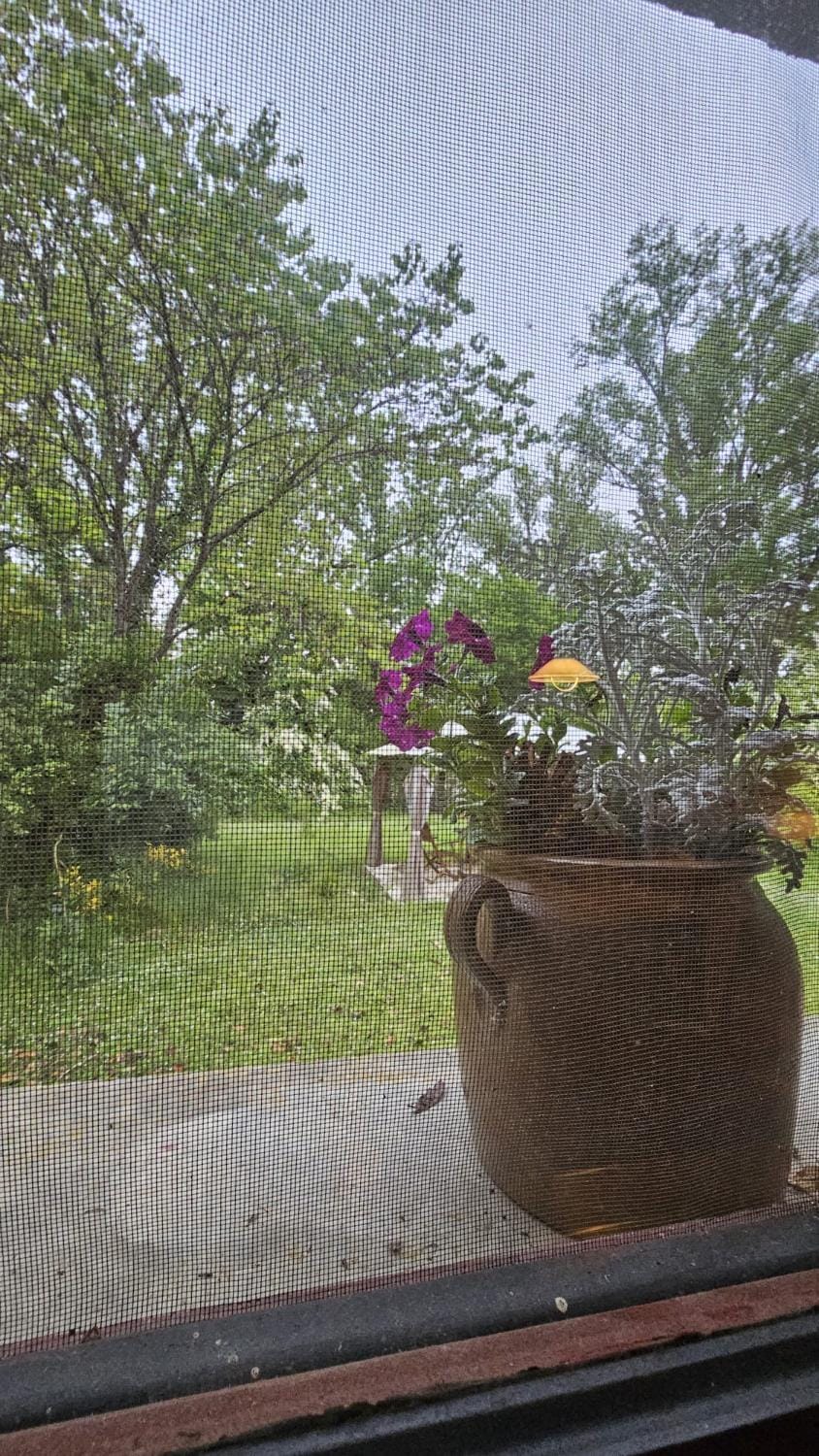 Garden, Garden view