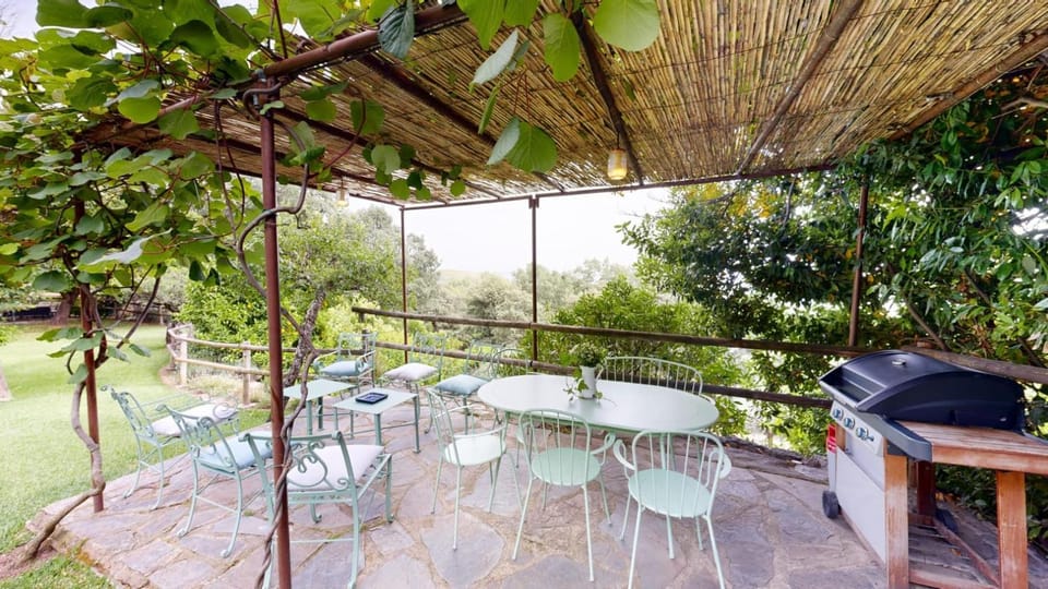 Garden, Garden view