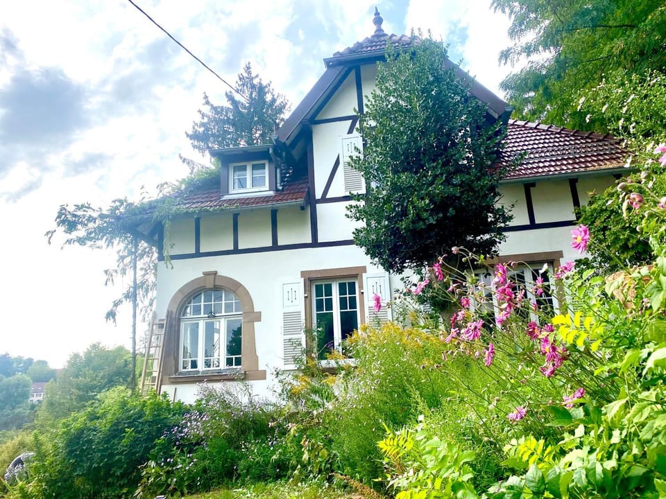 Day, Garden