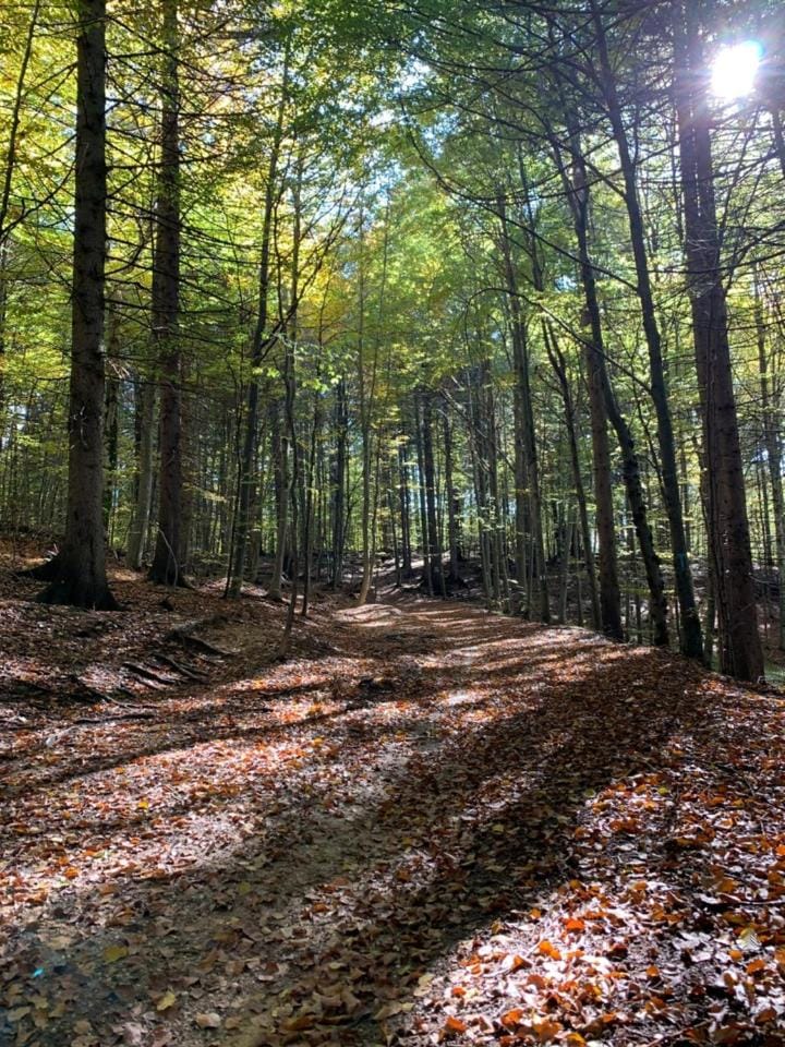 Activities